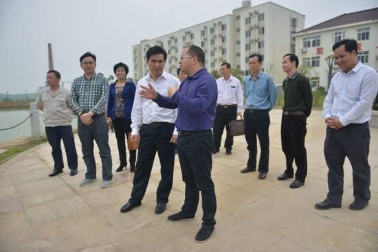 博白縣長羅培球來廣西銀億公司調(diào)研